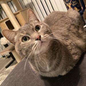 Meet your Posher, Cassidy